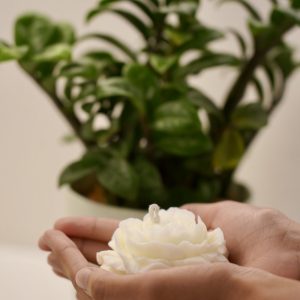 Silk Rose Candle